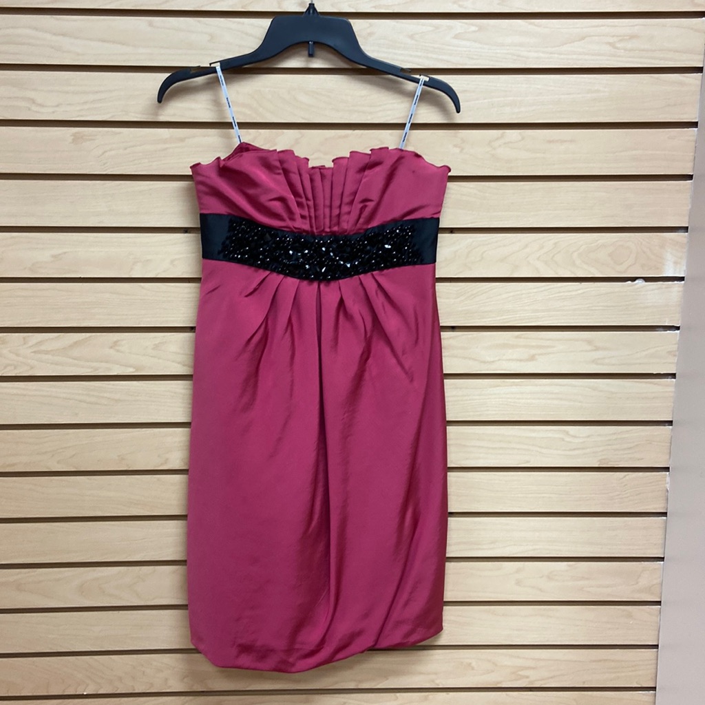 Kay Unger Women Fancy, Rich Looking Dress Size 4